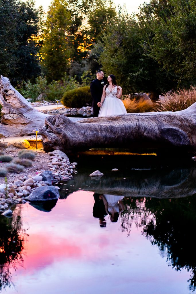 vineyard wedding photographer